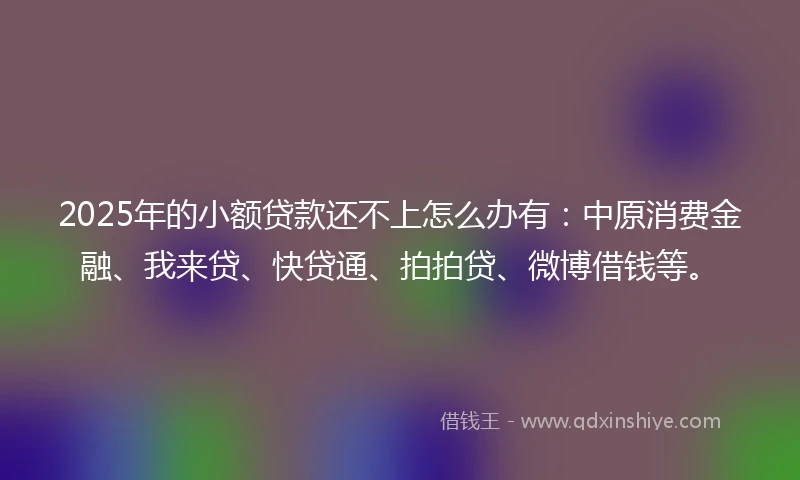 2025年的小额贷款还不上怎么办有：中原消费金融、我来贷、快贷通、拍拍贷、微博借钱等。