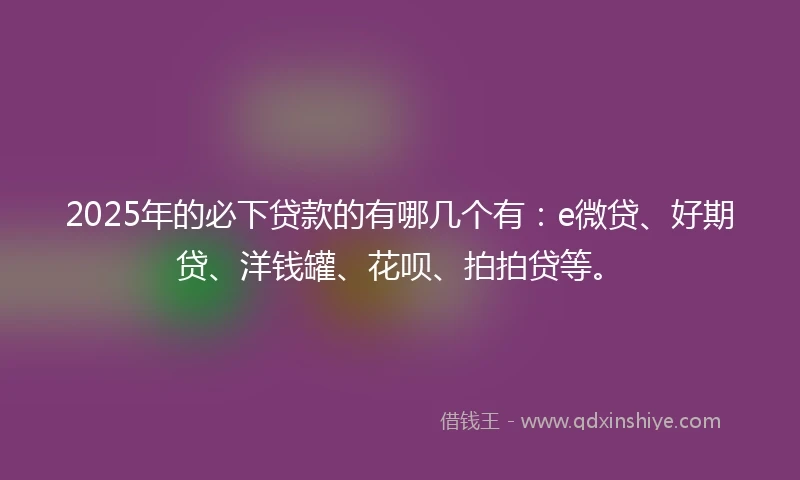 2025年的必下贷款的有哪几个有：e微贷、好期贷、洋钱罐、花呗、拍拍贷等。