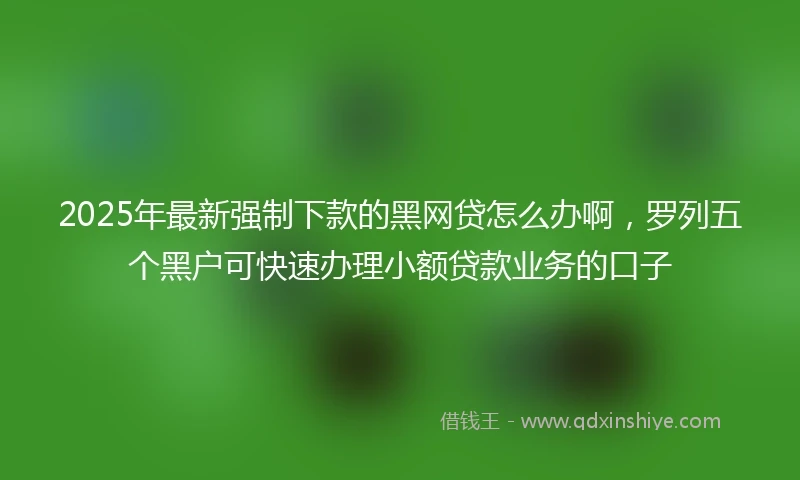 2025年最新强制下款的黑网贷怎么办啊，罗列五个黑户可快速办理小额贷款业务的口子