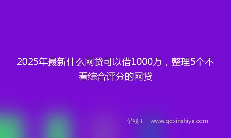 2025年最新什么网贷可以借1000万，整理5个不看综合评分的网贷
