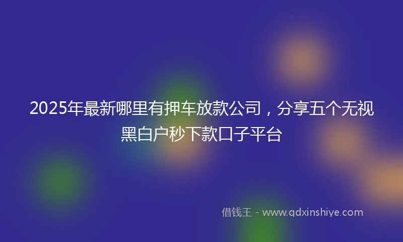 2025年最新哪里有押车放款公司，分享五个无视黑白户秒下款口子平台