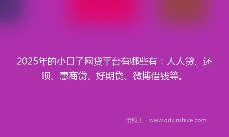 2025年的小口子网贷平台有哪些有：人人贷、还呗、惠商贷、好期贷、微博借钱等。