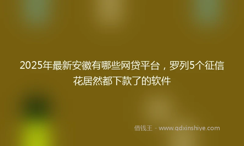 2025年最新安徽有哪些网贷平台，罗列5个征信花居然都下款了的软件