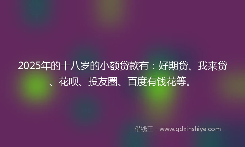 2025年的十八岁的小额贷款有：好期贷、我来贷、花呗、投友圈、百度有钱花等。