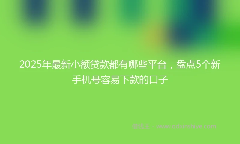 2025年最新小额贷款都有哪些平台，盘点5个新手机号容易下款的口子