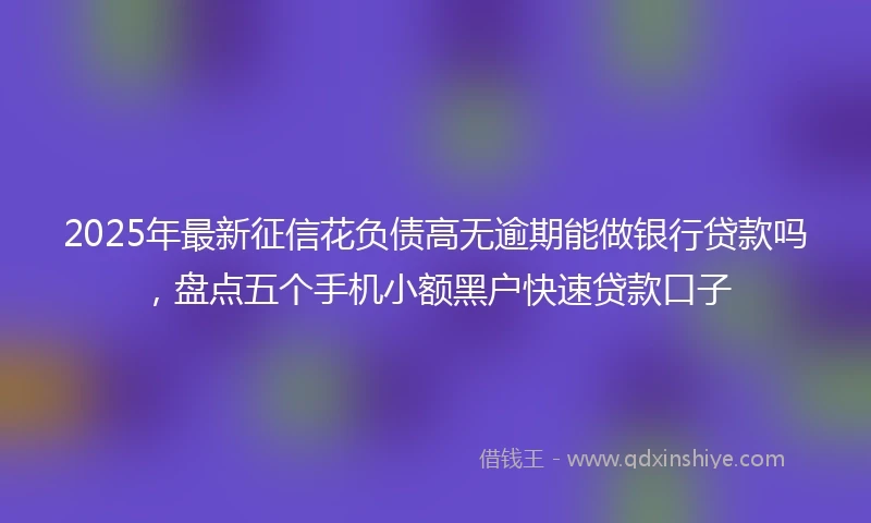 2025年最新征信花负债高无逾期能做银行贷款吗，盘点五个手机小额黑户快速贷款口子