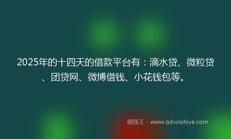 2025年的十四天的借款平台有：滴水贷、微粒贷、团贷网、微博借钱、小花钱包等。