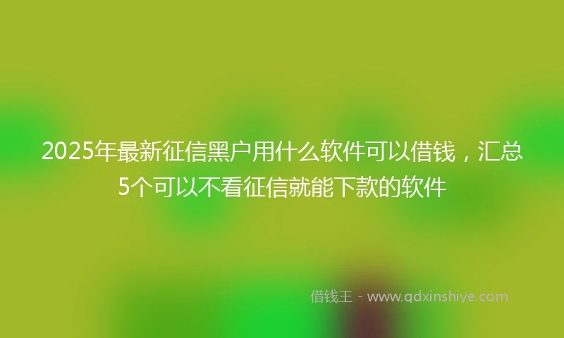 2025年最新征信黑户用什么软件可以借钱，汇总5个可以不看征信就能下款的软件