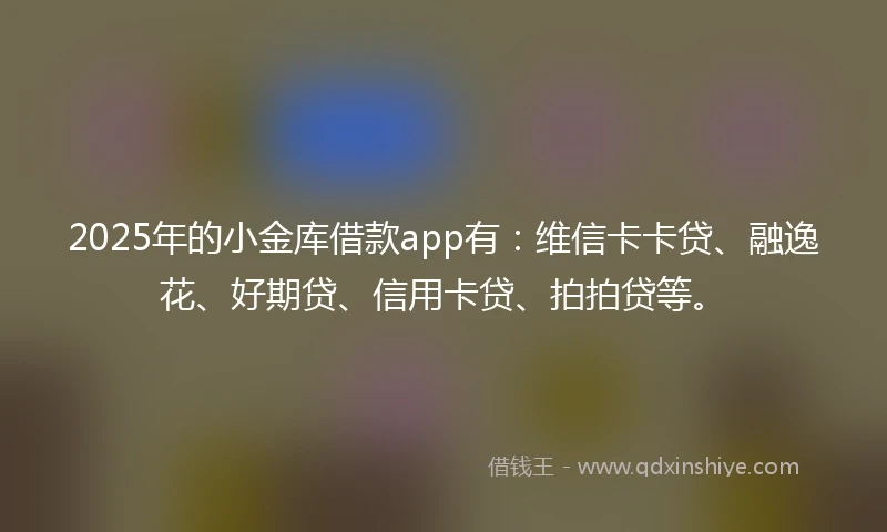 2025年的小金库借款app有：维信卡卡贷、融逸花、好期贷、信用卡贷、拍拍贷等。
