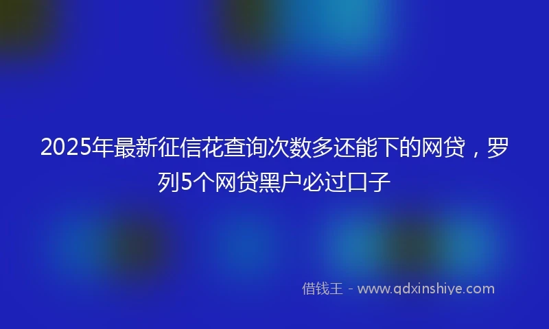 2025年最新征信花查询次数多还能下的网贷，罗列5个网贷黑户必过口子