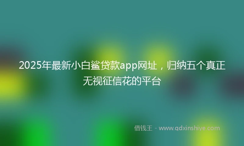 2025年最新小白鲨贷款app网址，归纳五个真正无视征信花的平台