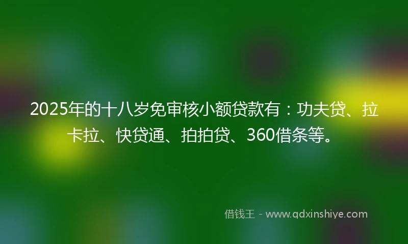 2025年的十八岁免审核小额贷款有：功夫贷、拉卡拉、快贷通、拍拍贷、360借条等。