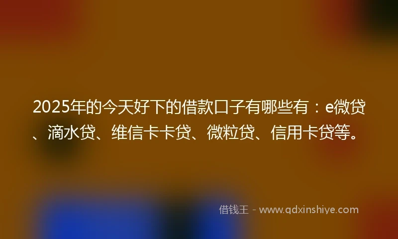 2025年的今天好下的借款口子有哪些有：e微贷、滴水贷、维信卡卡贷、微粒贷、信用卡贷等。