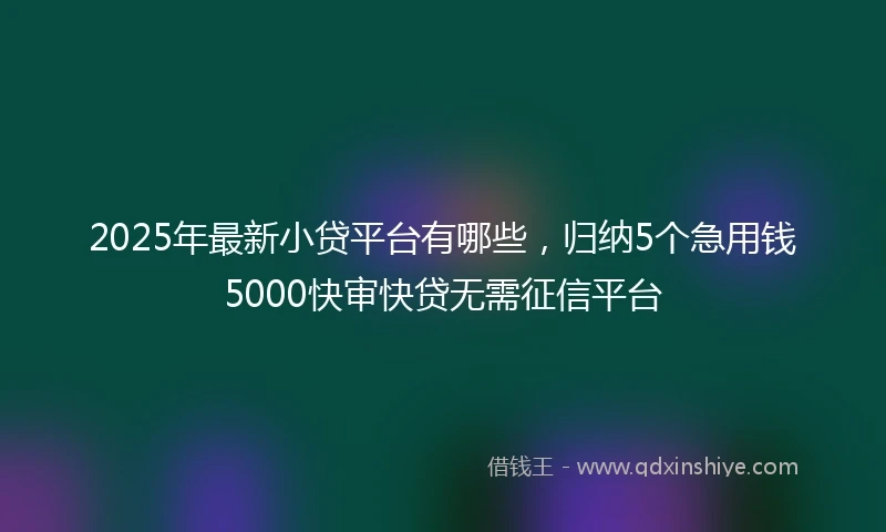 2025年最新小贷平台有哪些，归纳5个急用钱5000快审快贷无需征信平台