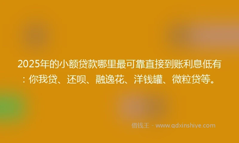 2025年的小额贷款哪里最可靠直接到账利息低有：你我贷、还呗、融逸花、洋钱罐、微粒贷等。