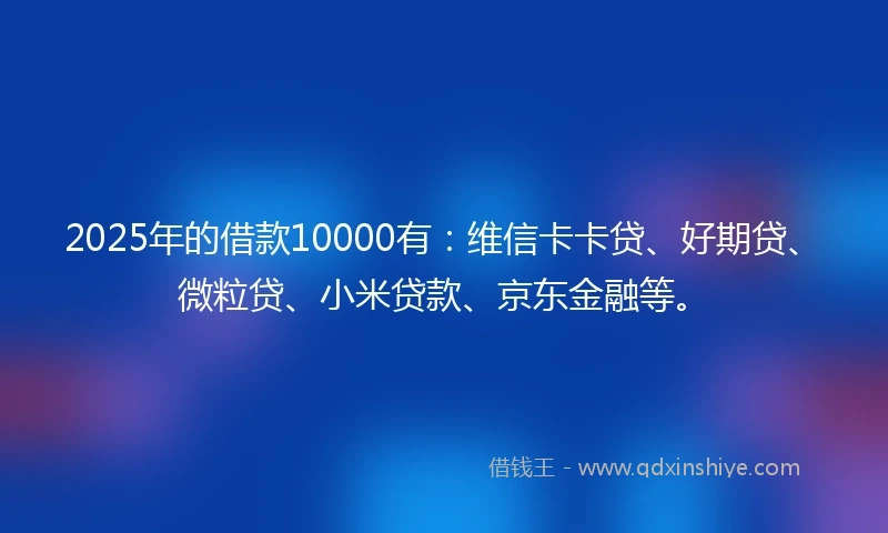 2025年的借款10000有：维信卡卡贷、好期贷、微粒贷、小米贷款、京东金融等。