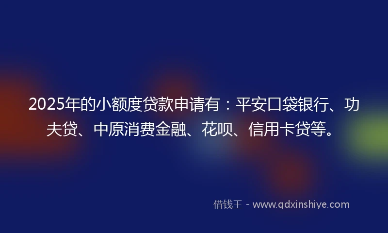2025年的小额度贷款申请有：平安口袋银行、功夫贷、中原消费金融、花呗、信用卡贷等。