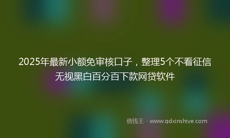 2025年最新小额免审核口子，整理5个不看征信无视黑白百分百下款网贷软件