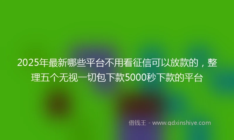 2025年最新哪些平台不用看征信可以放款的，整理五个无视一切包下款5000秒下款的平台