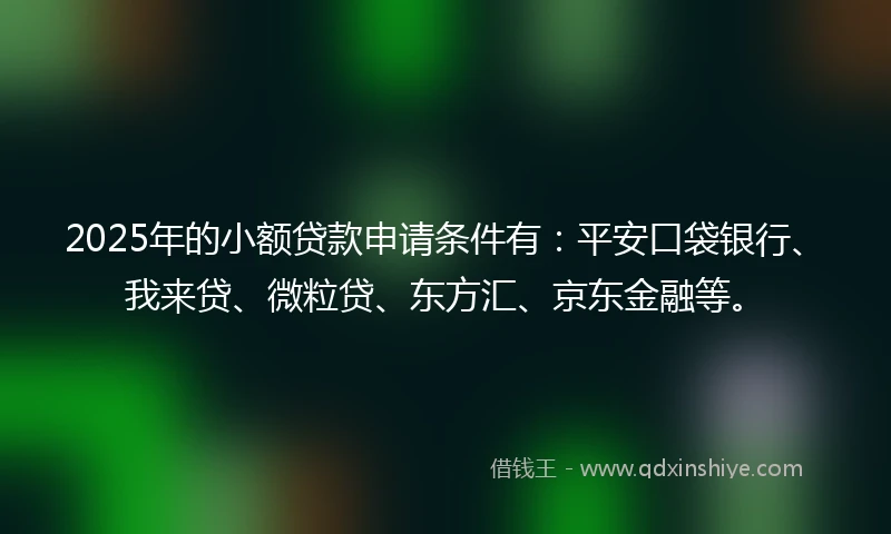 2025年的小额贷款申请条件有：平安口袋银行、我来贷、微粒贷、东方汇、京东金融等。
