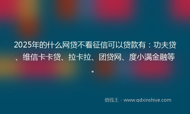2025年的什么网贷不看征信可以贷款有：功夫贷、维信卡卡贷、拉卡拉、团贷网、度小满金融等。