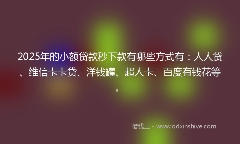 2025年的小额贷款秒下款有哪些方式有：人人贷、维信卡卡贷、洋钱罐、超人卡、百度有钱花等。