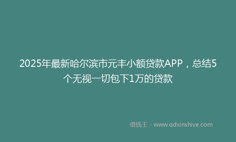 2025年最新哈尔滨市元丰小额贷款APP，总结5个无视一切包下1万的贷款