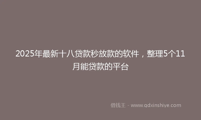 2025年最新十八贷款秒放款的软件，整理5个11月能贷款的平台