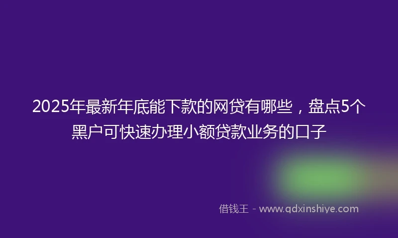 2025年最新年底能下款的网贷有哪些，盘点5个黑户可快速办理小额贷款业务的口子