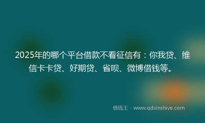 2025年的哪个平台借款不看征信有：你我贷、维信卡卡贷、好期贷、省呗、微博借钱等。