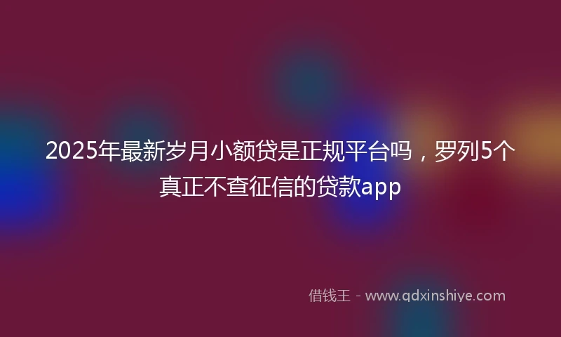 2025年最新岁月小额贷是正规平台吗，罗列5个真正不查征信的贷款app