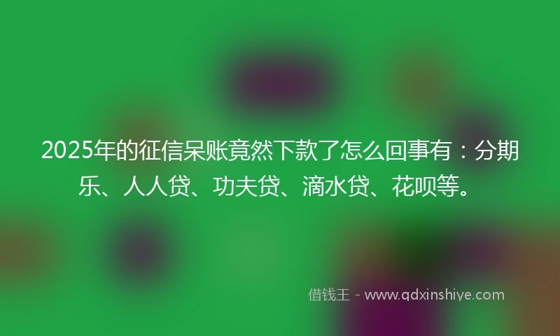 2025年的征信呆账竟然下款了怎么回事有：分期乐、人人贷、功夫贷、滴水贷、花呗等。