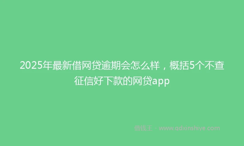 2025年最新借网贷逾期会怎么样，概括5个不查征信好下款的网贷app