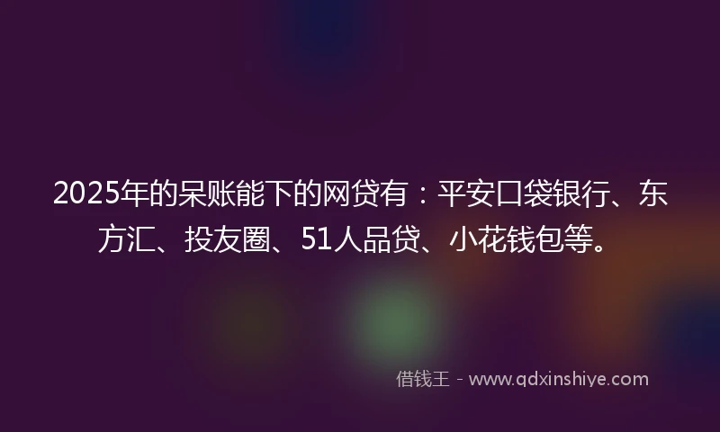2025年的呆账能下的网贷有：平安口袋银行、东方汇、投友圈、51人品贷、小花钱包等。