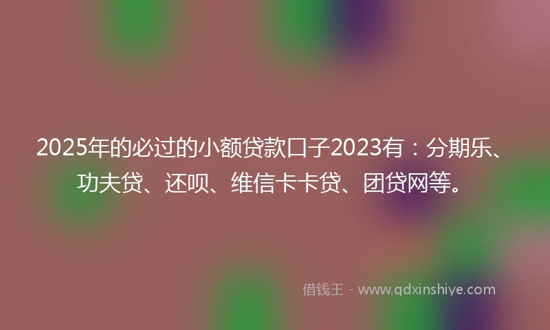 2025年的必过的小额贷款口子2023有：分期乐、功夫贷、还呗、维信卡卡贷、团贷网等。