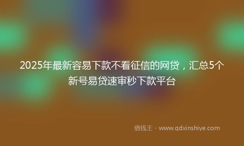 2025年最新容易下款不看征信的网贷，汇总5个新号易贷速审秒下款平台