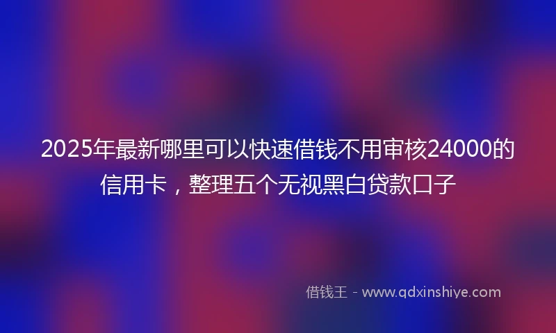 2025年最新哪里可以快速借钱不用审核24000的信用卡，整理五个无视黑白贷款口子