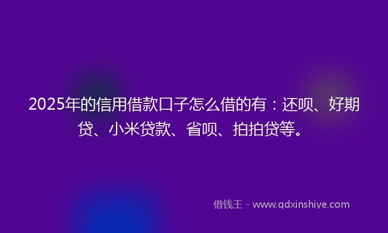 2025年的信用借款口子怎么借的有：还呗、好期贷、小米贷款、省呗、拍拍贷等。
