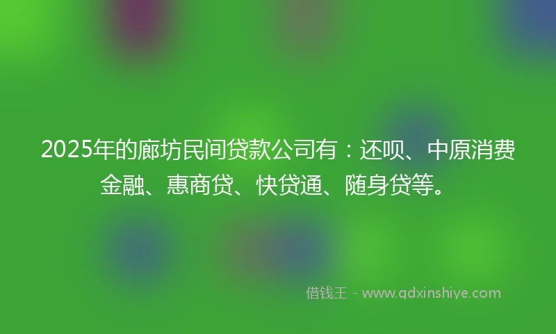 2025年的廊坊民间贷款公司有：还呗、中原消费金融、惠商贷、快贷通、随身贷等。