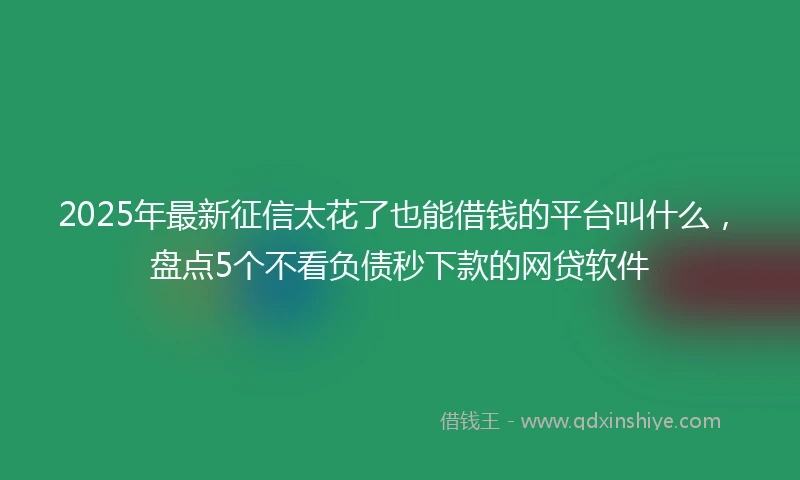 2025年最新征信太花了也能借钱的平台叫什么，盘点5个不看负债秒下款的网贷软件