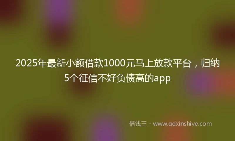 2025年最新小额借款1000元马上放款平台，归纳5个征信不好负债高的app