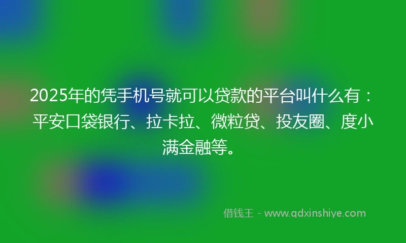 2025年的凭手机号就可以贷款的平台叫什么有：平安口袋银行、拉卡拉、微粒贷、投友圈、度小满金融等。