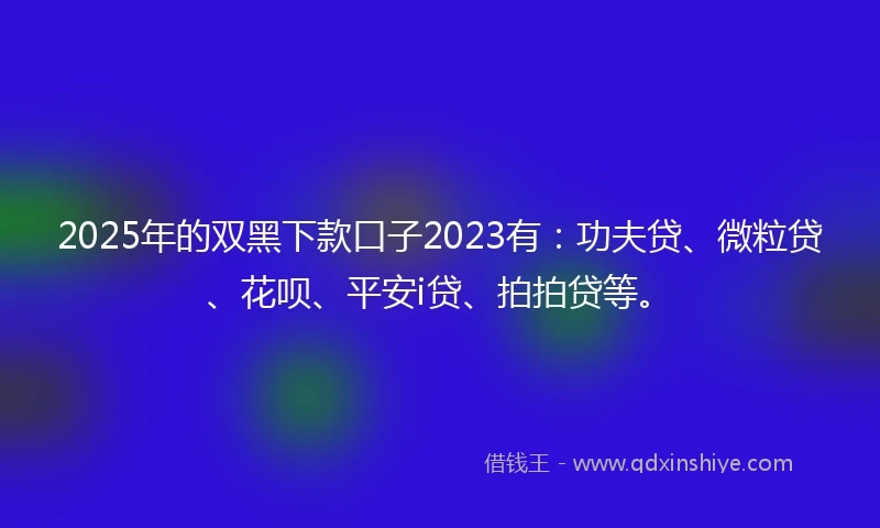 2025年的双黑下款口子2023有：功夫贷、微粒贷、花呗、平安i贷、拍拍贷等。