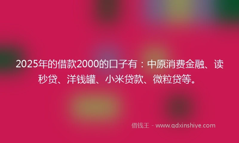 2025年的借款2000的口子有：中原消费金融、读秒贷、洋钱罐、小米贷款、微粒贷等。