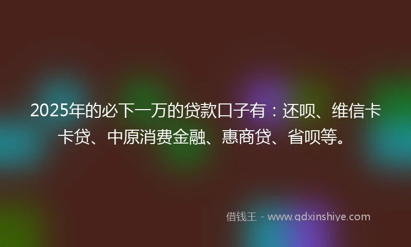 2025年的必下一万的贷款口子有：还呗、维信卡卡贷、中原消费金融、惠商贷、省呗等。