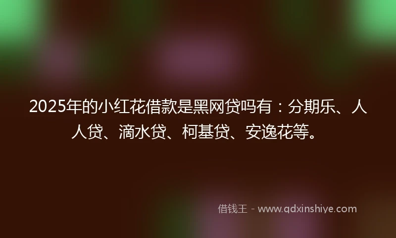 2025年的小红花借款是黑网贷吗有：分期乐、人人贷、滴水贷、柯基贷、安逸花等。