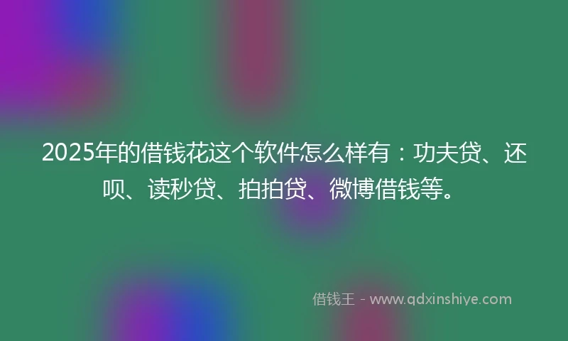 2025年的借钱花这个软件怎么样有：功夫贷、还呗、读秒贷、拍拍贷、微博借钱等。