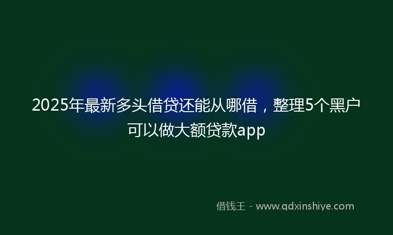 2025年最新多头借贷还能从哪借，整理5个黑户可以做大额贷款app