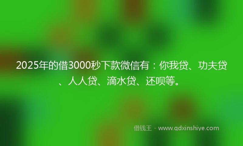 2025年的借3000秒下款微信有：你我贷、功夫贷、人人贷、滴水贷、还呗等。