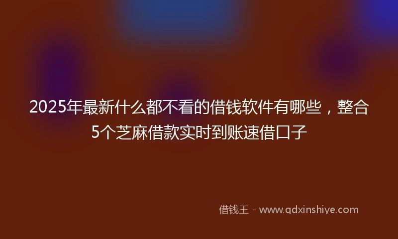 2025年最新什么都不看的借钱软件有哪些，整合5个芝麻借款实时到账速借口子